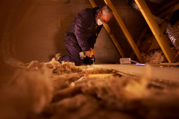 Insulation Inspection Services in Pleasant Grove, UT